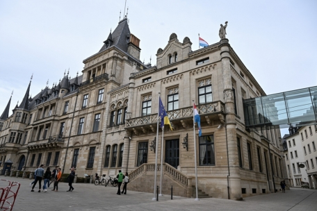 Chamber / Fraktionen, technische Gruppen und politische Sensibilitäten