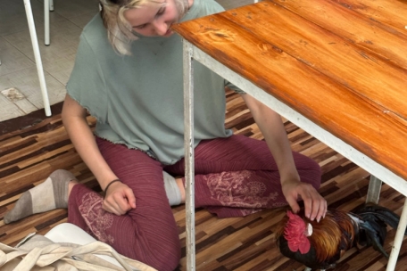 C. mit dem Haushuhn des Klosters