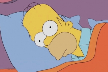 Der Wahlflüsterer / No bei mir: D’oh!