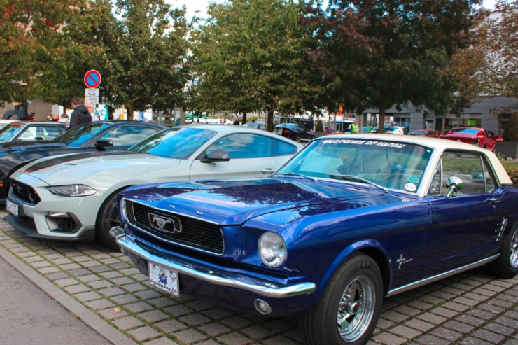 Internationales Mustang-Treffen / Galoppierende Pferde auf vier Rädern