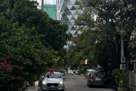 Durch das Grün wirkt es fast, als würde die Natur die Stadt zurückerobern
