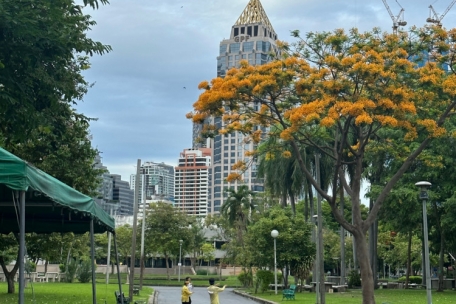 Sport im lokalen Park
