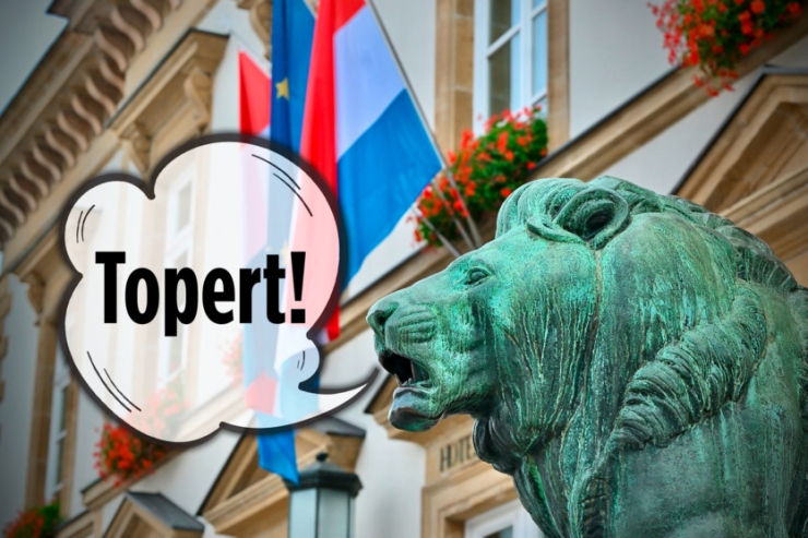 „Du Blani!“ / Luxemburgische Beleidigungen und was ein Wäscheklopfer damit zu tun hat