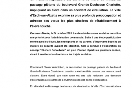 Die erste Seite der Pressemitteilung der Stadt Esch vom Dienstag