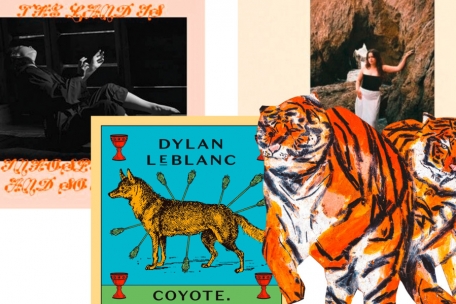 Nouveaux albums / Sur les chemins de traverse: Mitski, Ilgen-Nur, Ana Frango Elétrico et Dylan LeBlanc