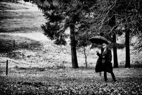 Au panthéon du rock français / Rodolphe Burger: „J’assume maintenant mon identité rhénane“