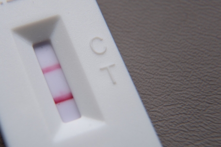 Kriminalität / Millionenbetrug mit Coronatests - Prozess in Trier