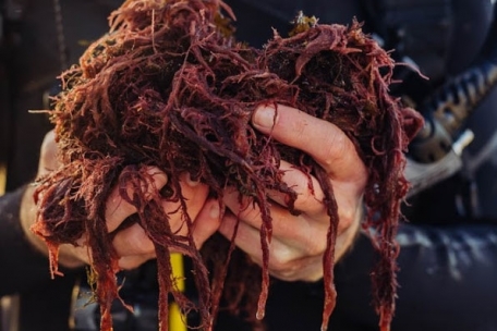 Qualitätskontrolle vom Chef persönlich