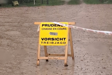 Bissen / Ausgerechnet um die Feiertage: Treibjagd auf Gebiet des Waldfriedhofs ruft Entsetzen hervor