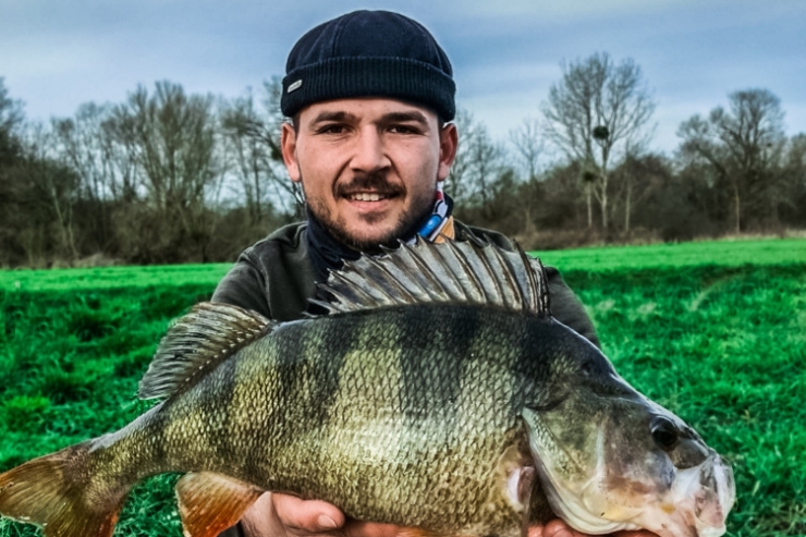 Angeln / 48 Zentimeter: Neuer Rekord beim „Perchmaster 2023“-Wettbewerb