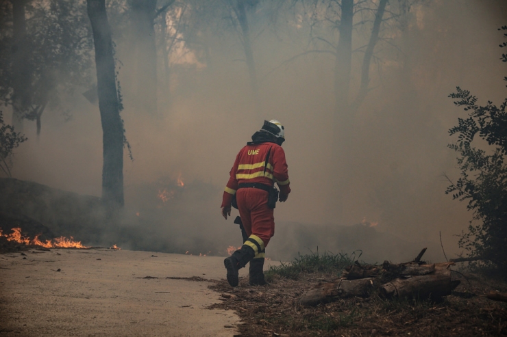 Naturkatastrophe / Großer Waldbrand im Osten Spaniens – 850 Menschen evakuiert