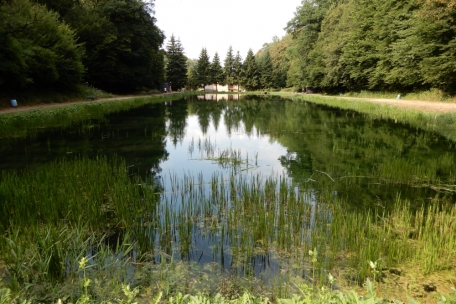 Der „Etang de l’Alzette“