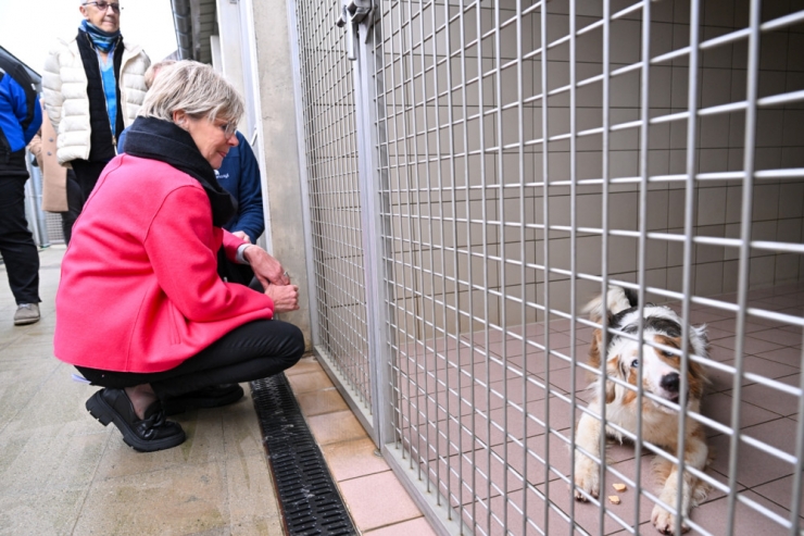 Bildergalerie / Auf den Hund gekommen: Martine Hansen besucht Gaspericher Tierasyl