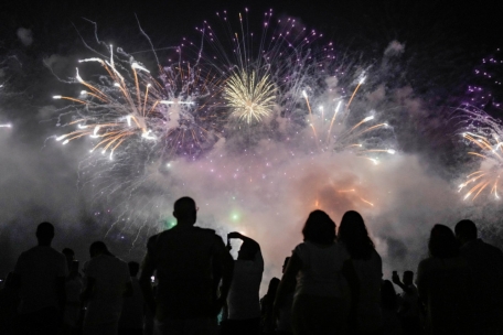 Leserforum / Und immer wieder grüßt die Plage Feuerwerk und Silvesterböller! 