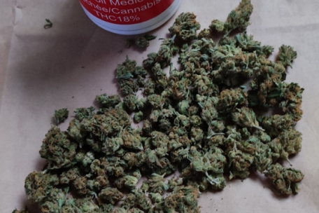 Cannabis / Beschwerden wegen schlechter Qualität: Kein Risiko für Cannabis-Patienten