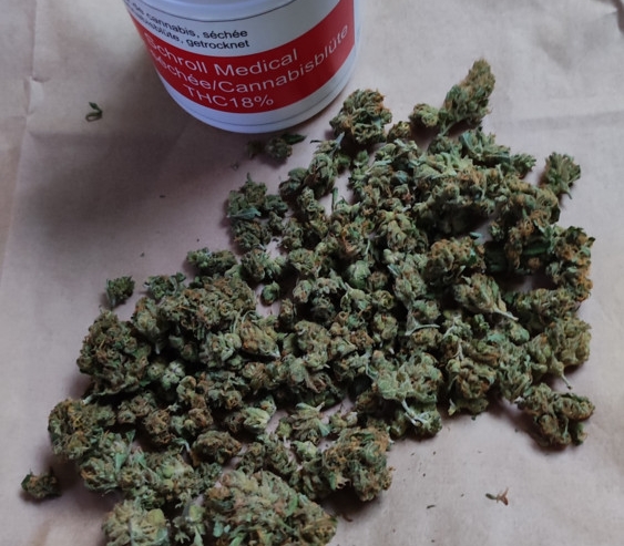 Cannabis / Beschwerden wegen schlechter Qualität: Kein Risiko für Cannabis-Patienten