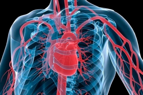 Luxemburg / Herz-Kreislauf-Erkrankungen und Tumore sind häufigste Todesursache