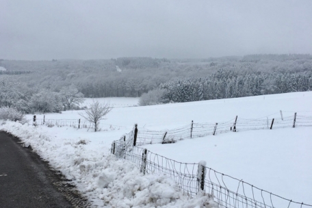 In der kalten Jahreszeit kann sich der Rundwanderweg bei Rambruch schon mal in ein Winderwunderland verwandeln