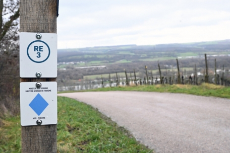 An den Hängen des „Scheierbierg“ verläuft die Rundwanderroute Bech-Kleinmacher entlang der Weinreben