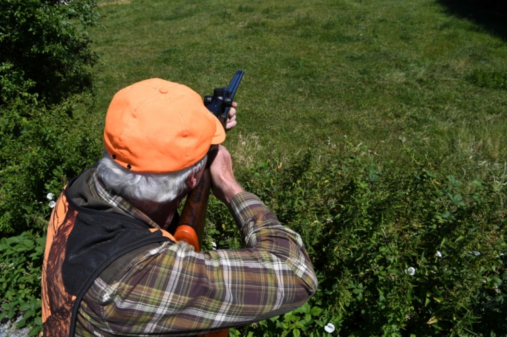 Naturverwaltung / Nach Hundeangriff auf Schafe: „Ein zutiefst trauriger Fall, den es absolut zu vermeiden gilt“