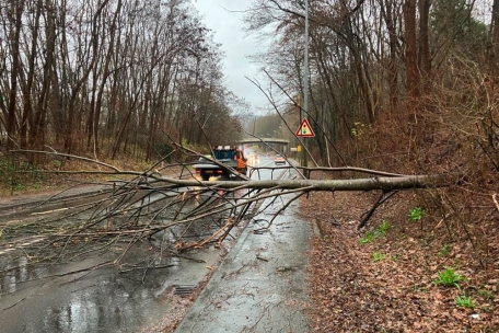 Auch ein umgestürzter Baum hat das CGDIS am Dienstag beschäftigt