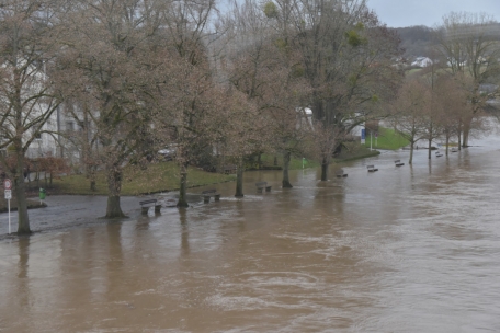 Wasserwirtschaft / Trotz kurzen Ausfalls von wichtiger Internetseite: Behörde bescheinigt sich solide Arbeit