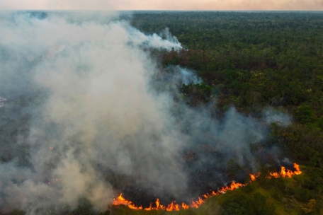Brandrodung in Manaquiri, Amazonas, am 6. September 2023. Insgesamt nahm die Abholzung in der Region im vergangenen Jahr ab.