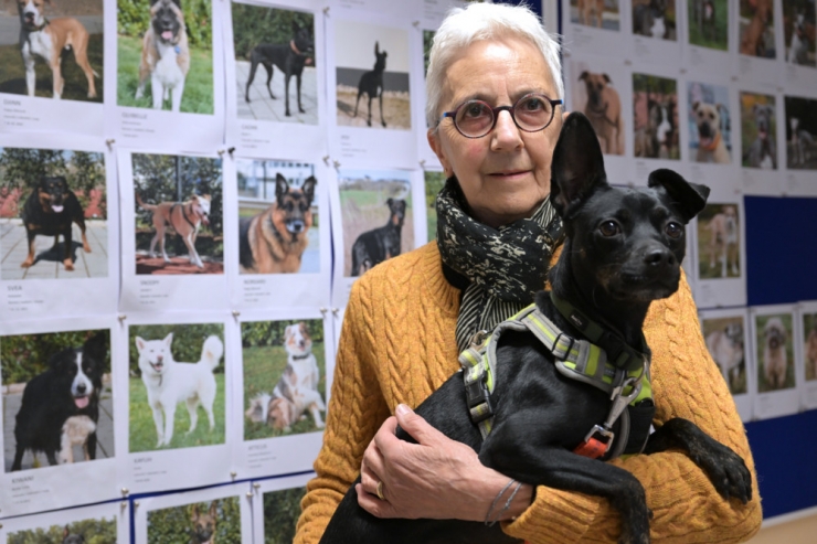 Gasperich / „Nachwehen der Pandemie“: Überfülltes Tierheim führt Wartelisten für Hunde ein