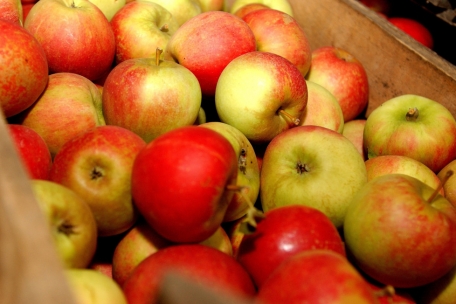 „Fruit Overshoot Day“  / Gesamtes Obst für 2024 wurde bereits aufgebraucht