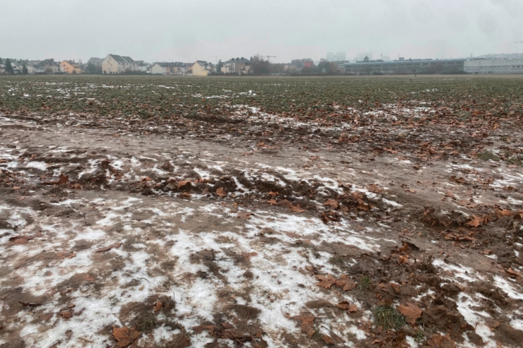Wetteraussichten / Wenn alles glattgeht: Probleme durch Eisregen werden wohl weniger – Richtung Donnerstag kommt Schnee 