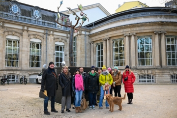 Art urbain / The box, cinquième saison: une même racine