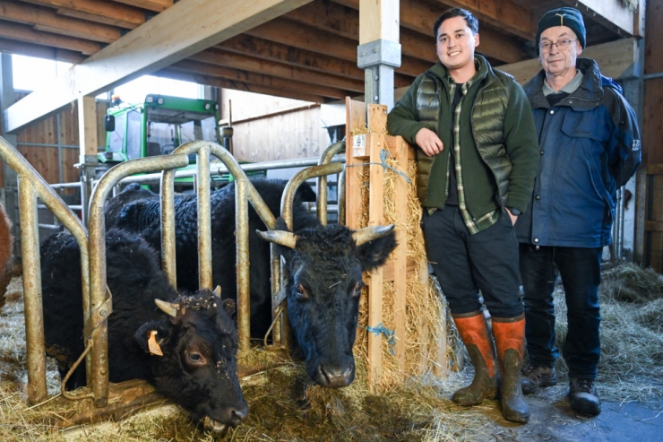 Luxusfleisch aus Godbringen / Wie sich Kenichi und John Breden der Aufzucht von Wagyū-Rindern widmen