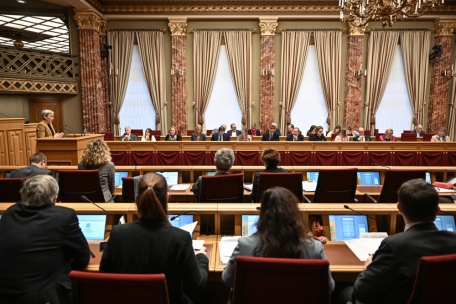 Sam Tanson („déi gréng“) hatte mit ihrer Resolution am 23. November den Stein einer transparenten Chamber wieder ins Rollen gebracht