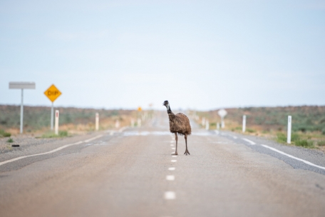 Wetter / Über 49 Grad: In Australien fallen neue Hitzerekorde