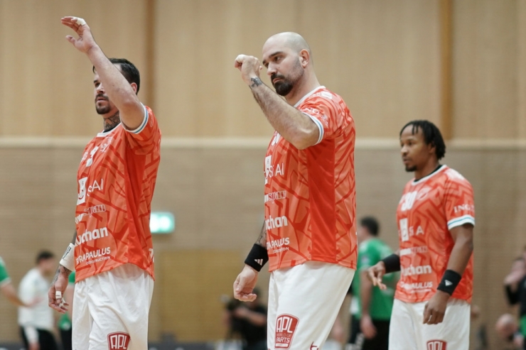 Handball / „Ein einmaliges Erlebnis“: Vor zehn Jahren wurde Igor Anic mit Frankreich Europameister