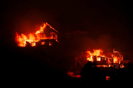 Chile / Mindestens 51 Tote bei Waldbränden