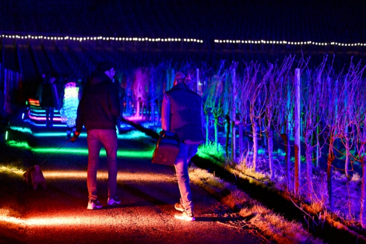 Genuss am Fluss im Lichtermeer / „Wine Lights Enjoy“ lockt Tausende in die illuminierten Rebenhänge entlang der Mosel