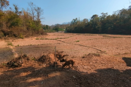 Das Feld, das die Luxemburger Delegation am Dienstag besucht, sieht auf den ersten Blick wie ein normaler Acker aus. Rote Fähnchen und farbige Absperrungen aber teilen das Areal in gesicherte und ungesicherte Bereiche ein, die die Räumungsdienste systematisch nach Sprengsätzen absuchen.