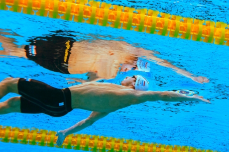 Schwimmen / WM in Doha: Mannes und Fabiani überzeugen