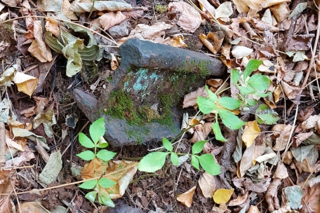 Bereits vor rund 2.000 Jahren wurde im Süden Luxemburgs Eisen hergestellt