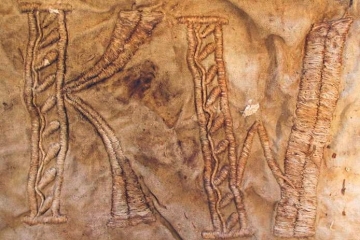 Zeugenaufruf / Belgische Ermittler suchen Informationen zu Herkunft eines Bettlakens