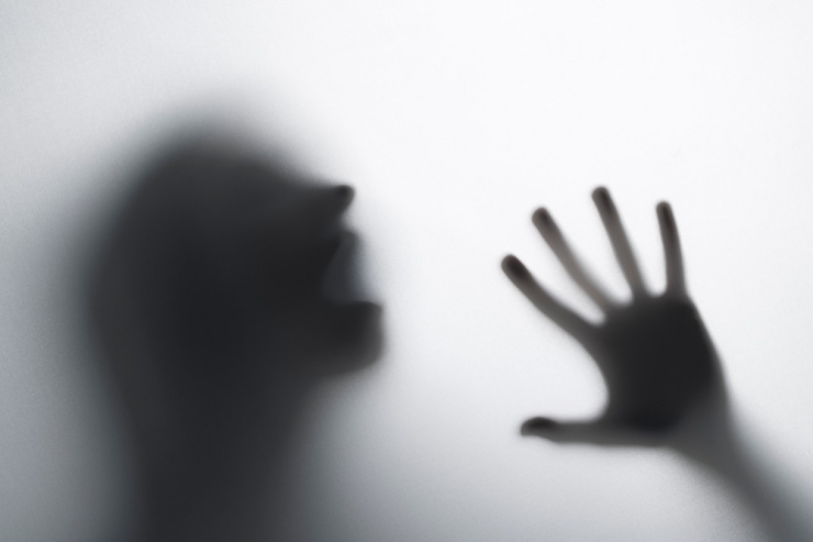 Der Politflüsterer / Lenert will nicht nach Europa, Schmit muss ran