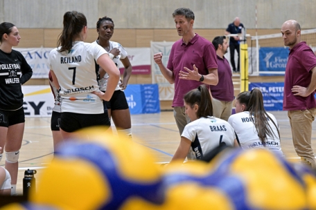 Volleyball / Der Titelkampf beginnt: Halbfinals starten am Wochenende
