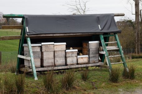 Bienenstöcke von Guy Koob