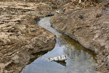 Klares Wasser, erste Algen: die Dipbech