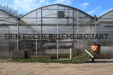 Ort des Geschehens: Der „Escher Geméisguart“