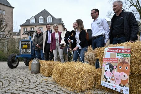 Landwirtschaft zum Anfassen / Zum vierten Mal organisiert die Landjugend den „Bauerenhaff an der Stad“