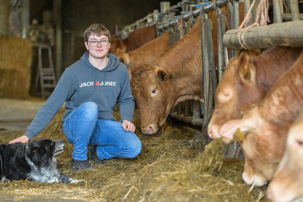 Landwirtschaft  / Vorschriften-Dschungel, No-Gos und die Frage der Wertschätzung: Ein Jungbauer berichtet