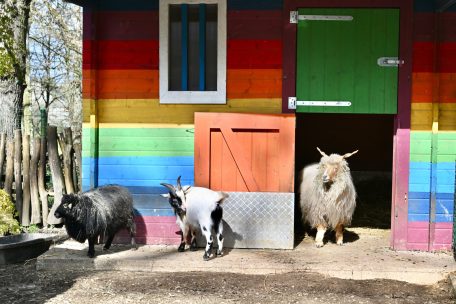 Farbenfrohes Unterdach