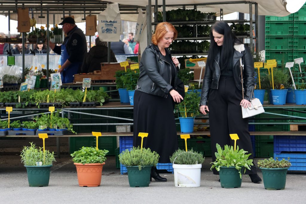 Luxemburg-Stadt / Nach Winterpause: Der „Glacismaart“ ist zurück